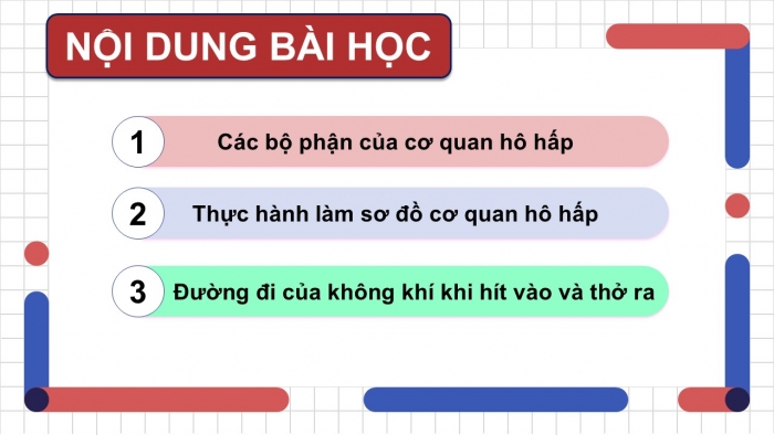 Giáo án PPT Tự nhiên và Xã hội 2 chân trời Bài 21: Cơ quan hô hấp