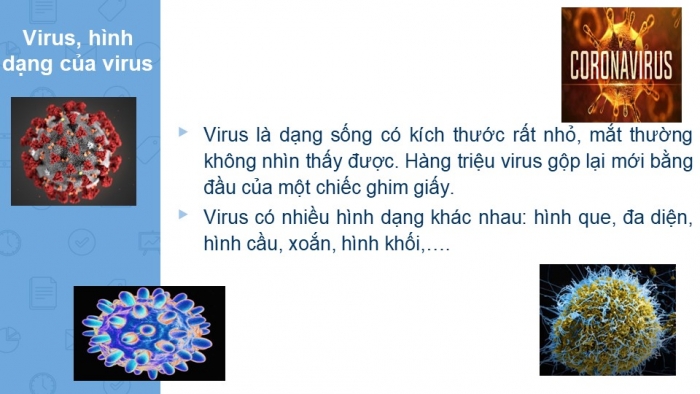 Giáo án PPT KHTN 6 cánh diều Bài 16: Virus và vi khuẩn