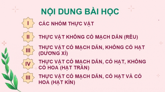 Giáo án PPT KHTN 6 cánh diều Bài 19: Đa dạng thực vật