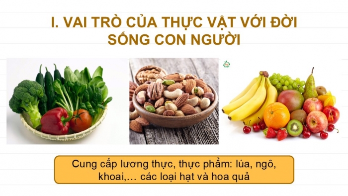 Giáo án PPT KHTN 6 cánh diều Bài 20: Vai trò của thực vật trong đời sống và trong tự nhiên