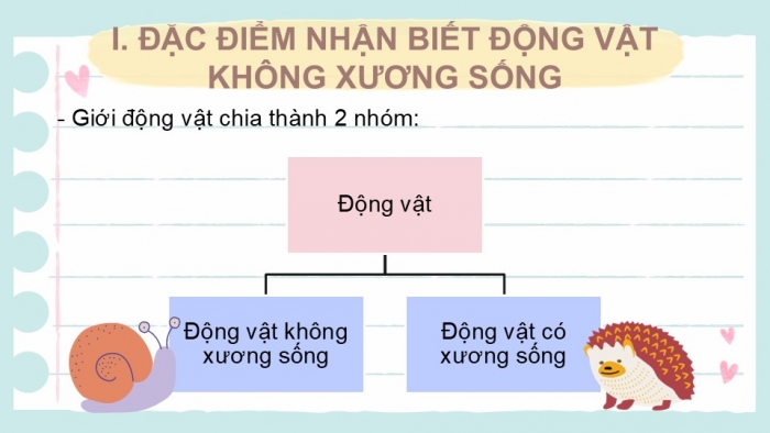 Giáo án PPT KHTN 6 cánh diều Bài 22: Đa dạng động vật không xương sống