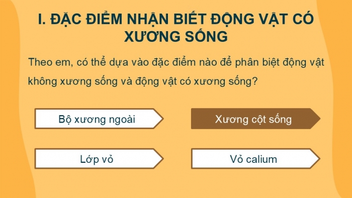 Giáo án PPT KHTN 6 cánh diều Bài 23: Đa dạng động vật có xương sống