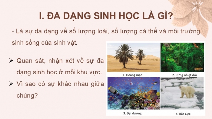 Giáo án PPT KHTN 6 cánh diều Bài 24: Đa dạng sinh học