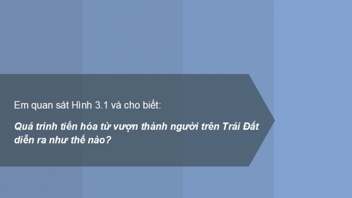 Giáo án PPT Lịch sử 6 cánh diều Bài 3: Nguồn gốc loài người