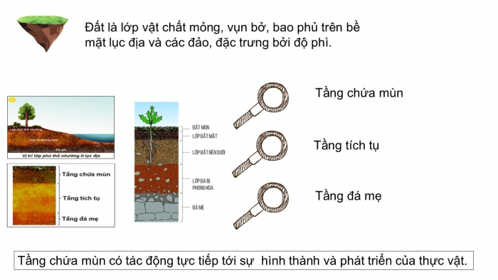 Giáo án PPT Địa lí 6 kết nối Bài 22: Lớp đất trên Trái Đất