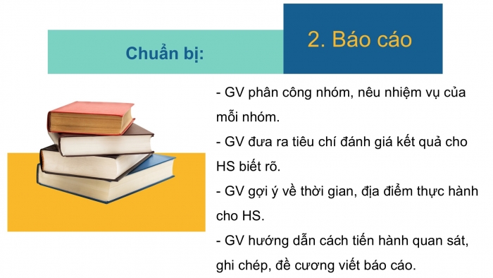 Giáo án PPT Địa lí 6 cánh diều Bài 23 Thực hành: Tìm hiểu lớp phủ thực vật ở địa phương