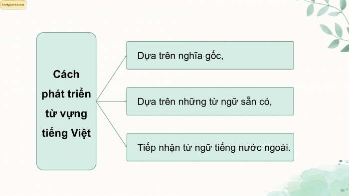 Giáo án điện tử Ngữ văn 9 kết nối Bài 7: Thực hành tiếng Việt (2)