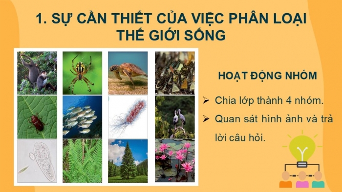 Giáo án PPT KHTN 6 chân trời Bài 22: Phân loại thế giới sống