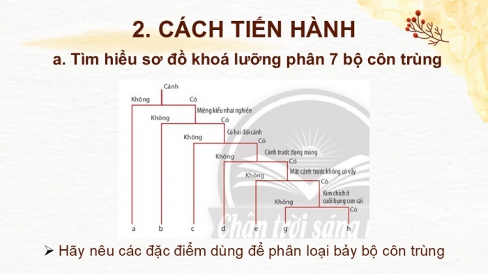 Giáo án PPT KHTN 6 chân trời Bài 23: Thực hành xây dựng khoá lưỡng phân