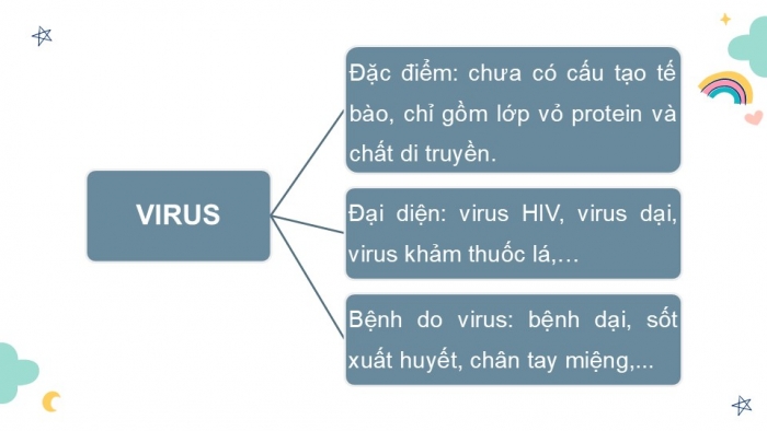 Giáo án PPT KHTN 6 chân trời Ôn tập Chủ đề 8