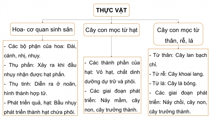 Giáo án điện tử Khoa học 5 cánh diều Bài Ôn tập chủ đề Thực vật và động vật