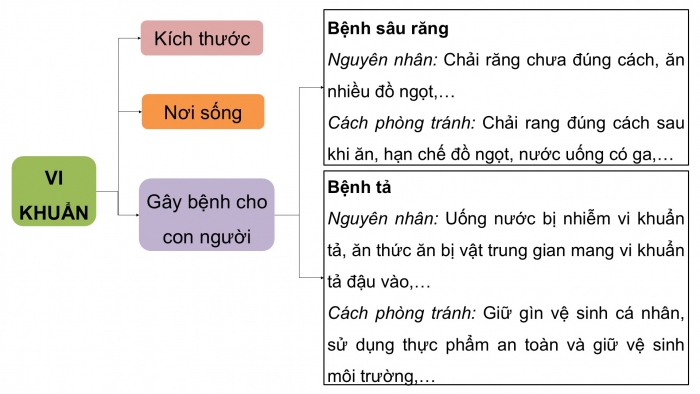 Giáo án điện tử Khoa học 5 cánh diều Bài Ôn tập chủ đề Vi khuẩn