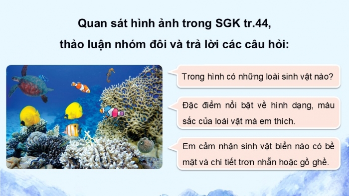 Giáo án điện tử Mĩ thuật 5 cánh diều Bài 9: Sinh vật biển