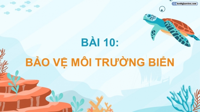 Giáo án điện tử Mĩ thuật 5 cánh diều Bài 10: Bảo vệ môi trường biển