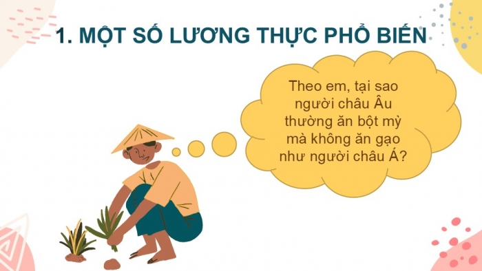 Giáo án PPT KHTN 6 chân trời Bài 14: Một số lương thực – thực phẩm