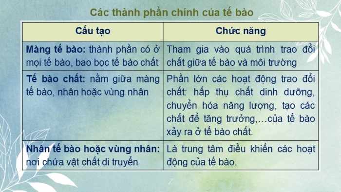 Giáo án PPT KHTN 6 kết nối Bài 19: Cấu tạo và chức năng các thành phần của tế bào