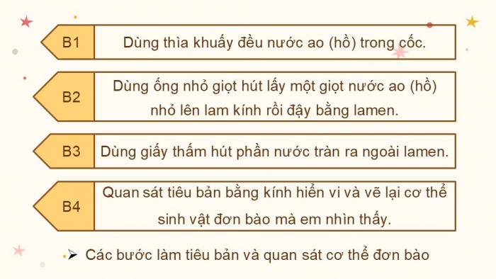 Giáo án PPT KHTN 6 kết nối Bài 24 Thực hành: Quan sát và mô tả cơ thể đơn bào, cơ thể đa bào