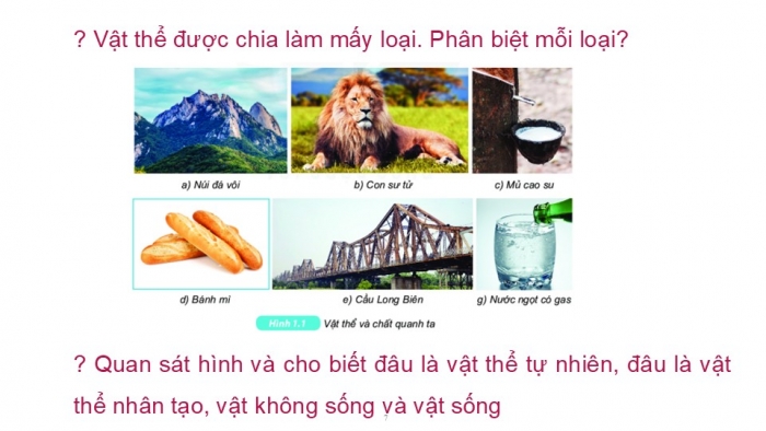 Giáo án PPT KHTN 6 kết nối Bài 9: Sự đa dạng của chất