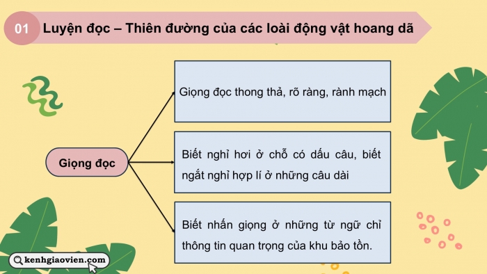 Giáo án PPT dạy thêm Tiếng Việt 5 chân trời bài 6: Bài đọc Thiên đường của các loài động vật hoang dã. Viết đoạn kết bài cho bài văn tả người