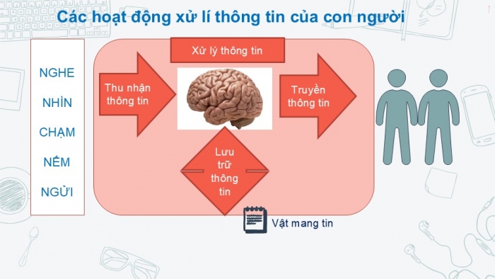 Giáo án PPT Tin học 6 kết nối Bài 2: Xử lí thông tin