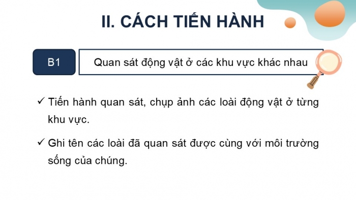 Giáo án PPT KHTN 6 kết nối Bài 37 Thực hành: Quan sát và nhận biết một số nhóm động vật ngoài thiên nhiên