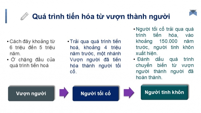 Giáo án PPT Lịch sử 6 chân trời Bài 3: Nguồn gốc loài người