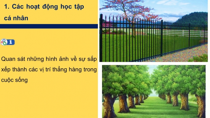 Giáo án PPT Toán 6 cánh diều Thực hành trải nghiệm Chủ đề 3: Sắp xếp thành các vị trí thẳng hàng