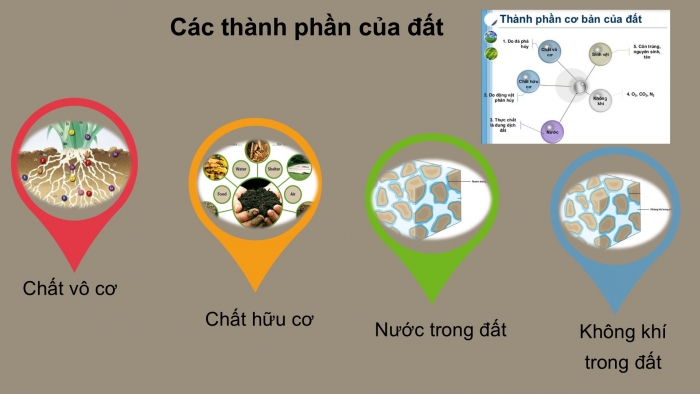 Giáo án PPT Địa lí 6 chân trời Bài 19: Lớp đất và các nhân tố hình thành đất. Một số nhóm đất điển hình