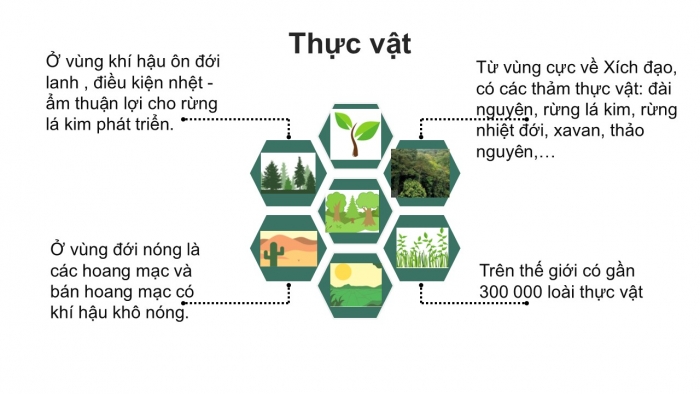 Giáo án PPT Địa lí 6 chân trời Bài 20: Sinh vật và sự phân bố các đới thiên nhiên. Rừng nhiệt đới