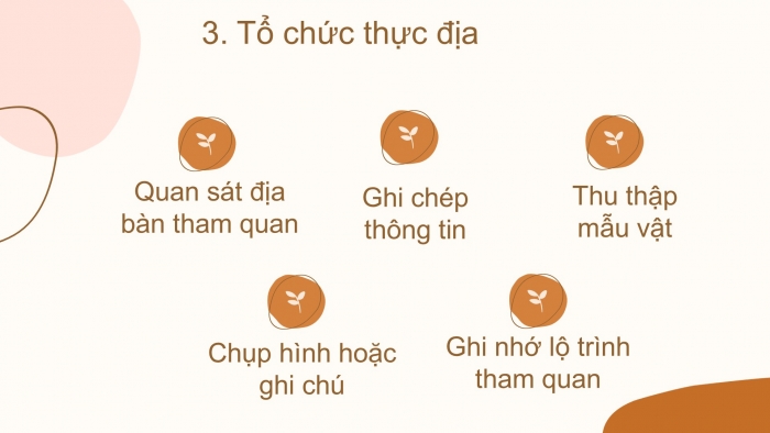 Giáo án PPT Địa lí 6 chân trời Bài 24: Thực hành tìm hiểu tác động của con người đến thiên nhiên