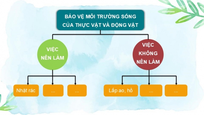 Giáo án PPT Tự nhiên và Xã hội 2 kết nối Bài 19: Thực vật và động vật quanh em