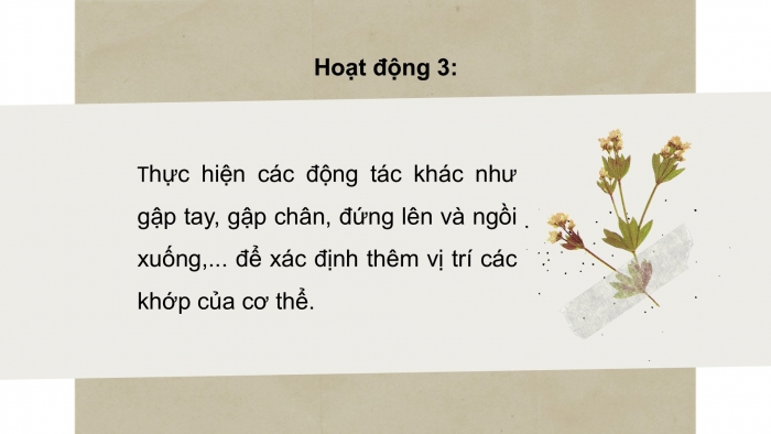 Giáo án PPT Tự nhiên và Xã hội 2 kết nối Bài 21: Tìm hiểu cơ quan vận động