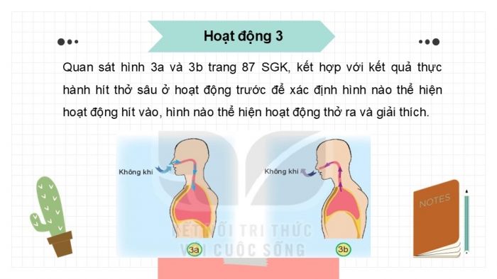 Giáo án PPT Tự nhiên và Xã hội 2 kết nối Bài 23: Tìm hiểu cơ quan hô hấp