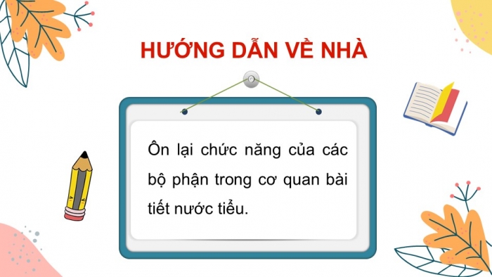 Giáo án PPT Tự nhiên và Xã hội 2 kết nối Bài 25: Tìm hiểu cơ quan bài tiết nước tiểu