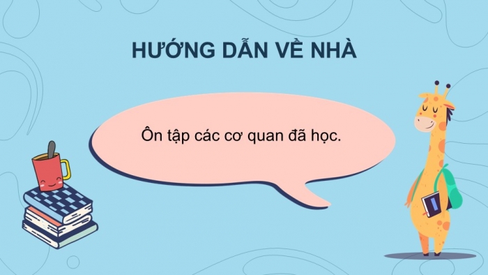 Giáo án PPT Tự nhiên và Xã hội 2 kết nối Bài 27: Ôn tập chủ đề Con người và sức khỏe