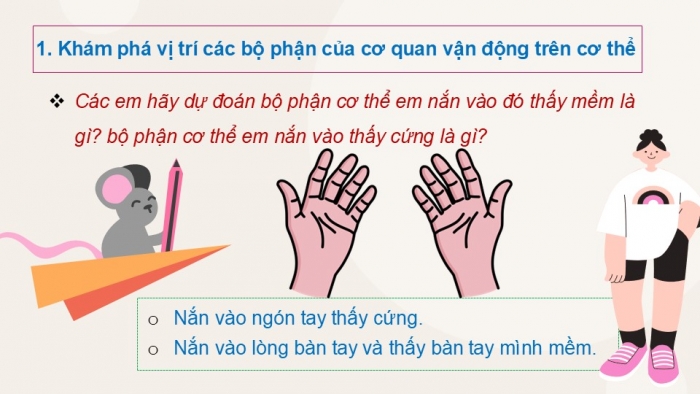 Giáo án PPT Tự nhiên và Xã hội 2 cánh diều Bài 14: Cơ quan vận động