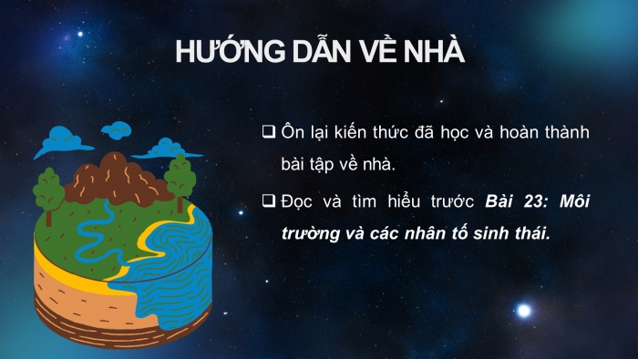 Giáo án điện tử Sinh học 12 kết nối Ôn tập giữa học kì 2