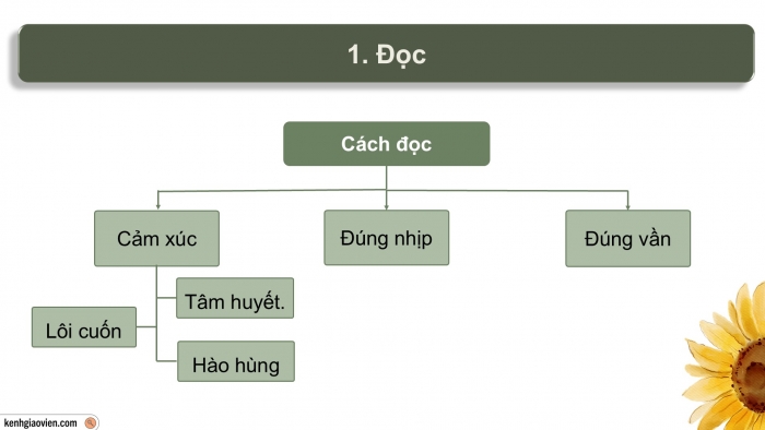 Giáo án điện tử Ngữ văn 9 kết nối Bài 8: Bài ca chúc Tết thanh niên (Phan Bội Châu)