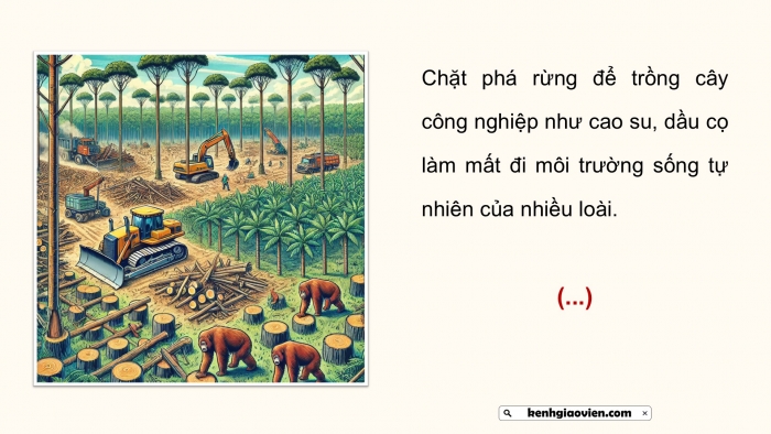 Giáo án điện tử Hoạt động trải nghiệm 12 cánh diều Chủ đề 6: Bảo vệ cảnh quan thiên nhiên và sự đa dạng sinh học (P1)