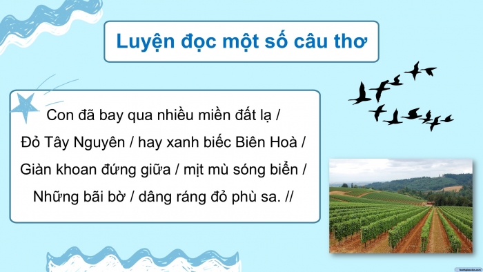 Giáo án điện tử Tiếng Việt 5 cánh diều Bài 12: Bay trên mái nhà của mẹ