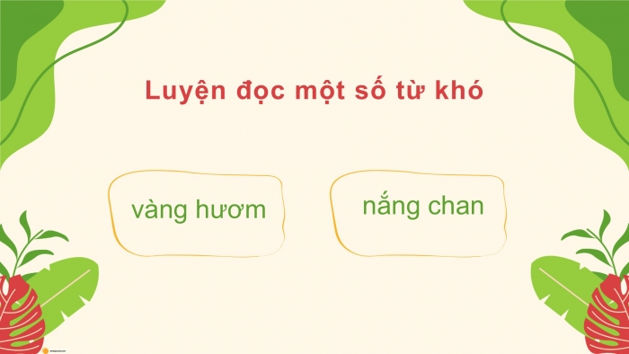 Giáo án điện tử Tiếng Việt 5 cánh diều Bài 13: Hè vui