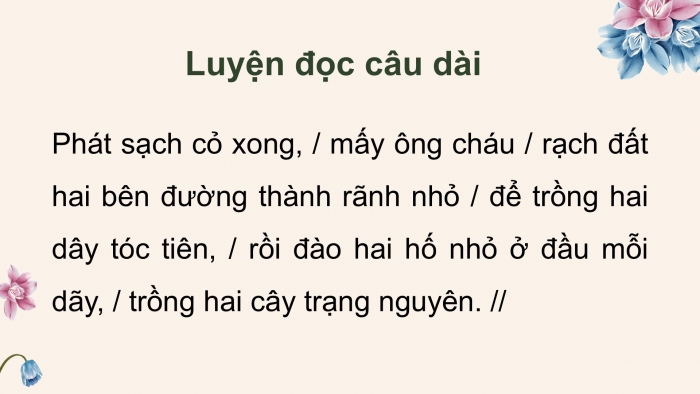 Giáo án điện tử Tiếng Việt 5 cánh diều Bài 13: Hoa trạng nguyên