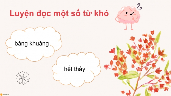 Giáo án điện tử Tiếng Việt 5 cánh diều Bài 14: Thăm nhà Bác