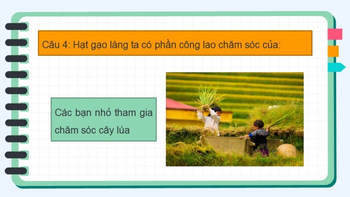 Giáo án điện tử Mĩ thuật 5 chân trời bản 1 Bài 1: Mùa thu hoạch