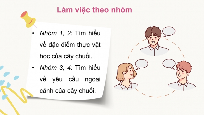 Giáo án điện tử Công nghệ 9 Trồng cây ăn quả Cánh diều Bài 9: Kĩ thuật trồng và chăm sóc cây chuối