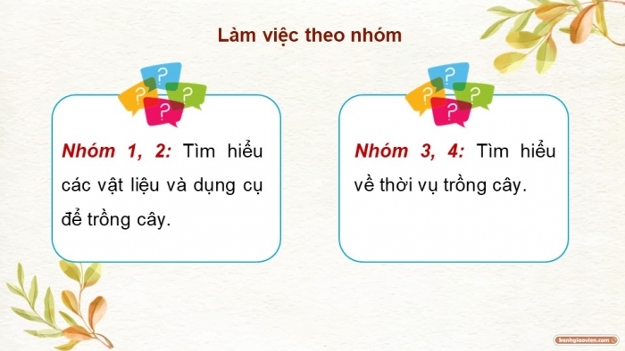 Giáo án điện tử Công nghệ 9 Trồng cây ăn quả Cánh diều Bài 10: Thực hành trồng và chăm sóc cây ăn quả