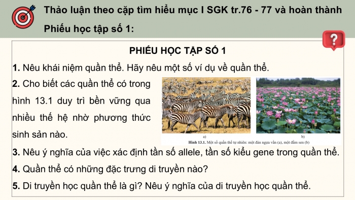 Giáo án điện tử Sinh học 12 cánh diều Bài 13: Di truyền học quần thể