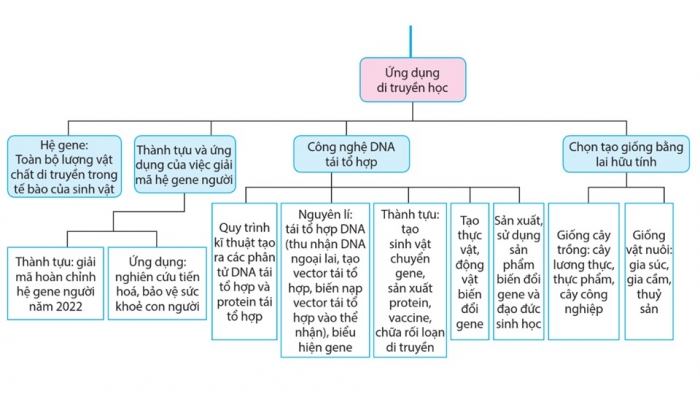 Giáo án điện tử Sinh học 12 cánh diều Bài Ôn tập Phần 5