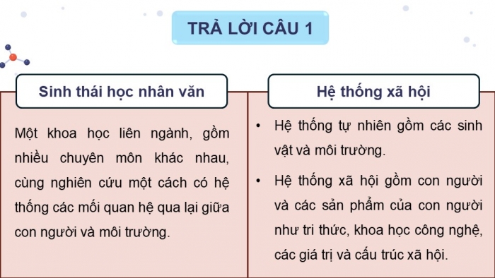 Giáo án điện tử chuyên đề Sinh học 12 kết nối Bài 8: Khái niệm và giá trị của sinh thái nhân văn trong phát triển bền vững