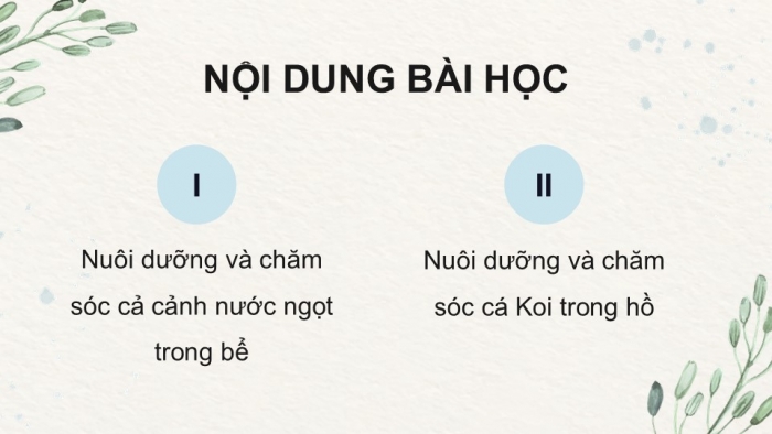 Giáo án điện tử chuyên đề Công nghệ 12 Lâm nghiệp Thuỷ sản Kết nối Bài 11: Nuôi dưỡng và chăm sóc cá cảnh nước ngọt